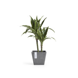 Pot Carré Rotterdam 20 Gris - 20 x 20 x H. 17,5 cm - 5,2 L - ECOPOTS