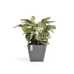 Pot Carré Rotterdam 50 Gris - 50 x 50 x H. 44 cm - 75 L - ECOPOTS