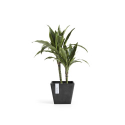 Pot Carré Rotterdam 20 Gris Foncé - 20 x 20 x H. 17,5 cm - 5,2 L - ECOPOTS