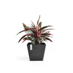 Pot Carré Rotterdam 50 Gris Foncé - 50 x 50 x H. 44 cm - 75 L - ECOPOTS