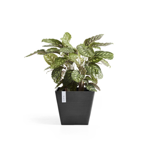 Pot Carré Rotterdam 50 Gris Foncé - 50 x 50 x H. 44 cm - 75 L - ECOPOTS