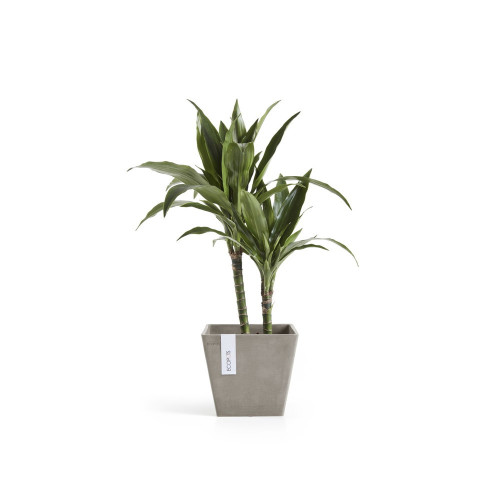 Pot Carré Rotterdam 20 Taupe - 20 x 20 x H. 17,5 cm - 5,2 L - ECOPOTS