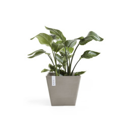 Pot Carré Rotterdam 50 Taupe - 50 x 50 x H. 44 cm - 75 L de marque ECOPOTS, référence: J7936900