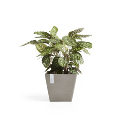 Pot Carré Rotterdam 50 Taupe - 50 x 50 x H. 44 cm - 75 L - ECOPOTS