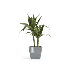 Pot Carré Rotterdam 20 Bleu Gris - 20 x 20 x H. 17,5 cm - 5,2 L - ECOPOTS