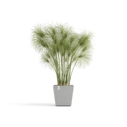 Pot Carré Rotterdam 25 Blanc Gris + réservoir d'eau - 25,2 x 25,2 x H. 24,5 cm - 10,7 L de marque ECOPOTS, référence: J7937400