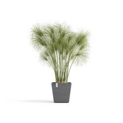 Pot Carré Rotterdam 25 Gris + réservoir d'eau - 25,2 x 25,2 x H. 24,5 cm - 10,7 L de marque ECOPOTS, référence: J7937700