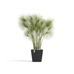 Pot Carré Rotterdam 25 Gris Foncé + réservoir d'eau - 25,2 x 25,2 x H. 24,5 cm - 10,7 L de marque ECOPOTS, référence: J7938000