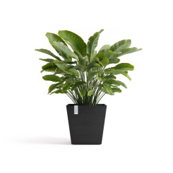 Pot Carré Rotterdam 45 Gris Foncé + réservoir d'eau - 45,4 x 45,4 x H. 44 cm - 63,5 L - ECOPOTS