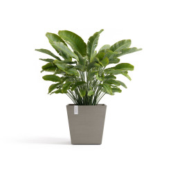 Pot Carré Rotterdam 45 Taupe + réservoir d'eau - 45,4 x 45,4 x H. 44 cm - 63,5 L de marque ECOPOTS, référence: J7938500