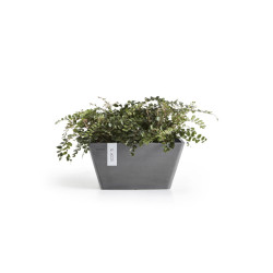 Pot Carré Berlin 30 Gris - 31 x 31 x H. 15,5 cm - 10 L de marque ECOPOTS, référence: J7939000