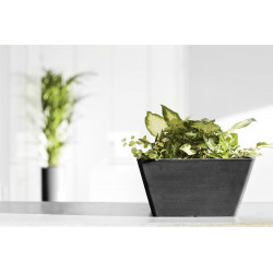 Pot Carré Berlin 30 Gris Foncé - 31 x 31 x H. 15,5 cm - 10 L - ECOPOTS