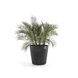 Grand pot sur roues Amsterdam 60 Gris Foncé - Ø 60 x H. 56 cm - 100 L - ECOPOTS