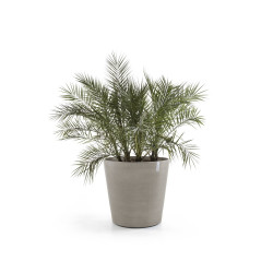 Grand pot sur roues Amsterdam 100 Taupe - Ø 100 x H. 88,7 cm - 466 L de marque ECOPOTS, référence: J7943900