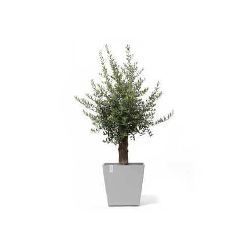 Grand pot sur roues Rotterdam 50 Blanc Gris - 50 x 50 x H. 49,2 cm - 76,3 L - ECOPOTS