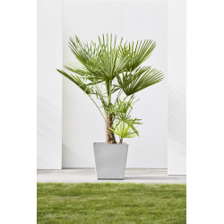 Grand pot sur roues Rotterdam 50 Blanc Gris - 50 x 50 x H. 49,2 cm - 76,3 L - ECOPOTS