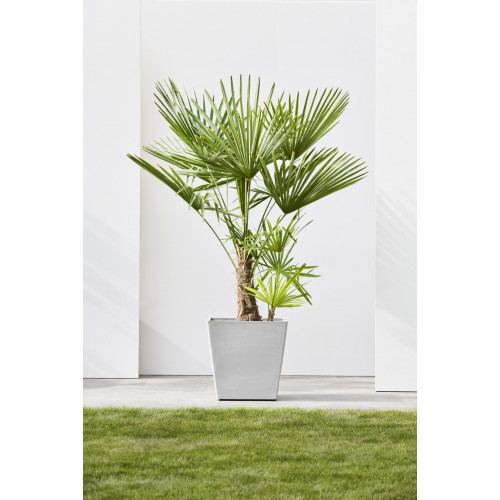 Grand pot sur roues Rotterdam 50 Blanc Gris - 50 x 50 x H. 49,2 cm - 76,3 L - ECOPOTS