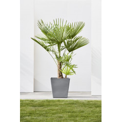 Grand pot sur roues Rotterdam 50 Gris - 50 x 50 x H. 49,2 cm - 76,3 L - ECOPOTS