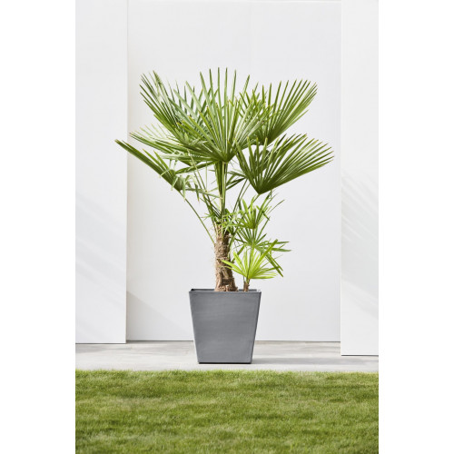 Grand pot sur roues Rotterdam 50 Gris - 50 x 50 x H. 49,2 cm - 76,3 L - ECOPOTS