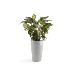 Pot Haut Sankara 55 Blanc Gris - Ø 35 x H. 55 cm - 36 L - ECOPOTS