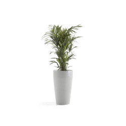 Pot Haut Sankara 75 Blanc Gris - Ø 45 x H. 75 cm - 78 L de marque ECOPOTS, référence: J7946000