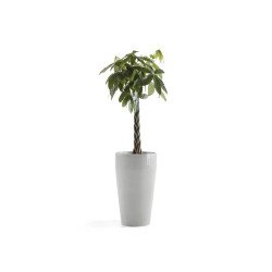 Pot Haut Sankara 75 Blanc Gris - Ø 45 x H. 75 cm - 78 L - ECOPOTS