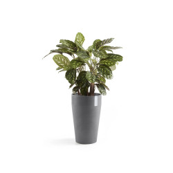 Pot Haut Sankara 55 Gris - Ø 35 x H. 55 cm - 36 L - ECOPOTS