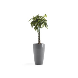 Pot Haut Sankara 75 Gris - Ø 45 x H. 75 cm - 78 L - ECOPOTS