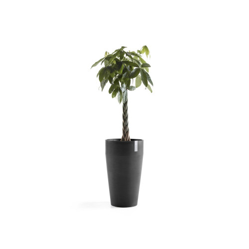 Pot Haut Sankara 75 Gris Foncé - Ø 45 x H. 75 cm - 78 L - ECOPOTS