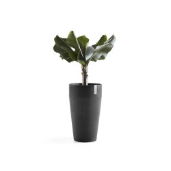 Pot Haut Sankara 75 Gris Foncé - Ø 45 x H. 75 cm - 78 L - ECOPOTS