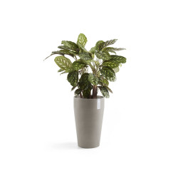 Pot Haut Sankara 55 Taupe - Ø 35 x H. 55 cm - 36 L - ECOPOTS