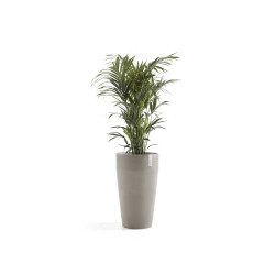 Pot Haut Sankara 75 Taupe - Ø 45 x H. 75 cm - 78 L de marque ECOPOTS, référence: J7946600