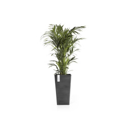 Pot Haut Rotterdam 56 Gris Foncé - 31 x 31 x H. 56 cm - 36,2 L - ECOPOTS