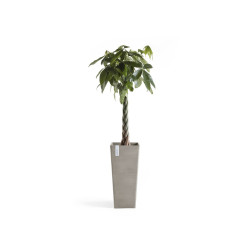 Pot Haut Rotterdam 70 Taupe - 32 x 32 x H. 70 cm - 42 L - ECOPOTS