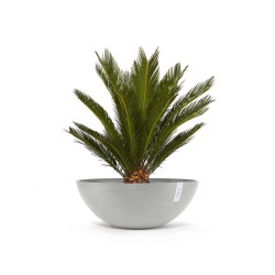 Pot Rond Vienna 70 Blanc Gris - Ø 70 x H. 25,2 cm - 61,7 L de marque ECOPOTS, référence: J7947500