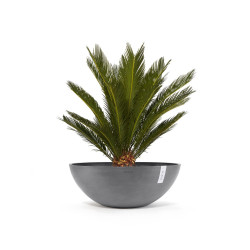 Pot Rond Vienna 70 Gris - Ø 70 x H. 25,2 cm - 61,7 L de marque ECOPOTS, référence: J7947700