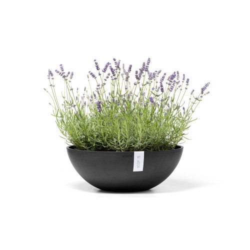 Pot Rond Vienna 50 Gris Foncé - Ø 50 x H. 18 cm - 22,3 L - ECOPOTS