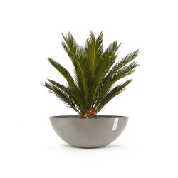 Pot Rond Vienna 70 Taupe - Ø 70 x H. 25,2 cm - 61,7 L de marque ECOPOTS, référence: J7948100