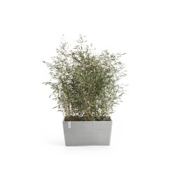 Jardinière Paris 60 Blanc Gris - 60 x 26 x H. 40 cm - 46,7 L de marque ECOPOTS, référence: J7948200