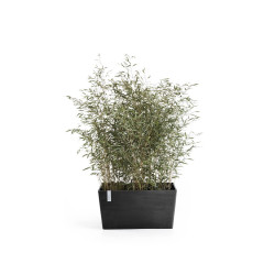 Jardinière Paris 60 Gris Foncé - 60 x 26 x H. 40 cm - 46,7 L - ECOPOTS