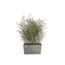 Jardinière Paris 60 Taupe - 60 x 26 x H. 40 cm - 46,7 L - ECOPOTS