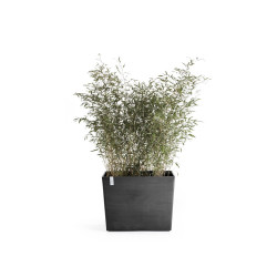 Jardinière sur roues Paris 85 Gris Foncé - 85 x 40 x H. 65 cm - 152 L - ECOPOTS