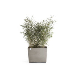 Jardinière sur roues Paris 85 Taupe - 85 x 40 x H. 65 cm - 152 L - ECOPOTS