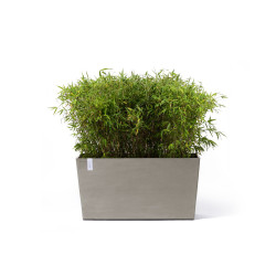 Jardinière sur roues Paris 100 Taupe - 100 x 40 x H. 50 cm - 137 L de marque ECOPOTS, référence: J7949900