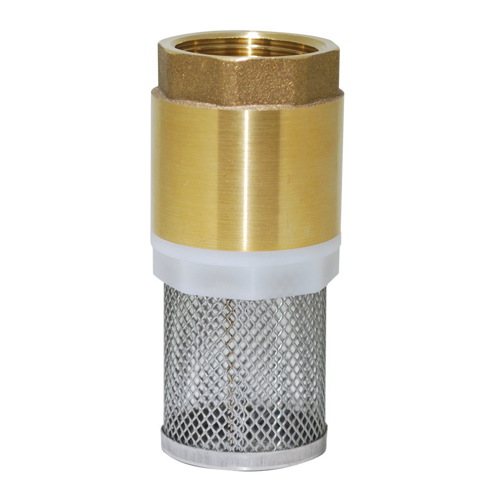 Boutté Clapet filtre femelle 50x60 PN10 bars avec filtre en inox non démontable - vue 2