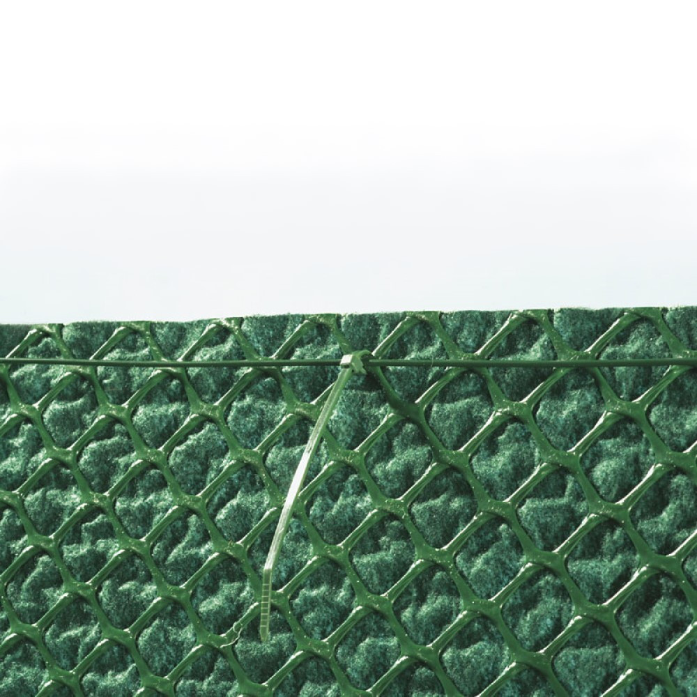 Vert