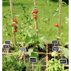 Carré potager CARDON 120 - 134 x 134 x 24 cm - 288 L - 16 carrés de 28 x 28 cm - Jardipolys