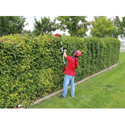 Taille-haies télescopique sans fil – GE-HH 18 Li T – 18 V – Longueur de coupe 40 cm – Sans batterie ni chargeur - EINHELL 