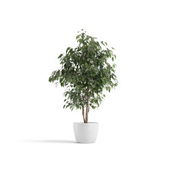 Pot Stockholm 31 Pure White - ECOPOTS