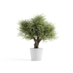 Pot Amsterdam 70 Pure White - ECOPOTS